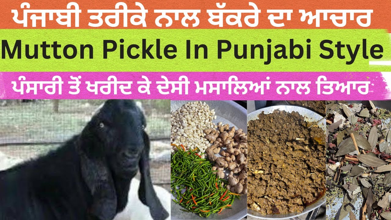 ਬੱਕਰੇ ਦਾ ਆਚਾਰ || Recipe Mutton Pickle Punjabi Style || Panjaab Paidavar