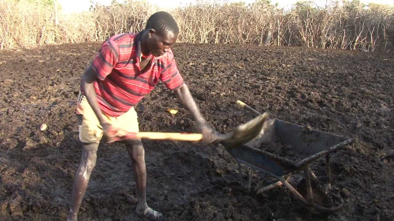 Bio-gas pilot project meets energy and safety needs for rural families in Uganda