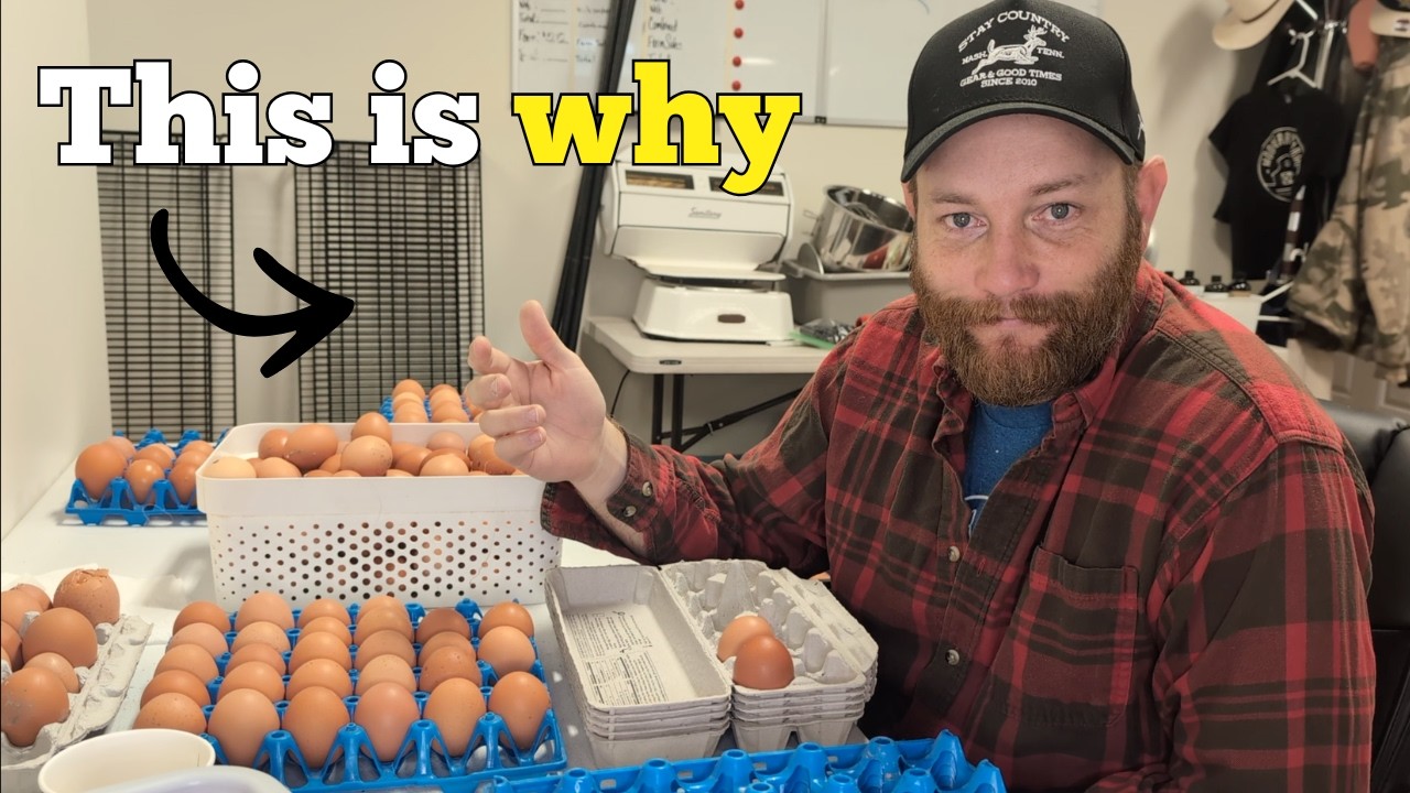 Why Farms Get Sold & What We Can Do About It