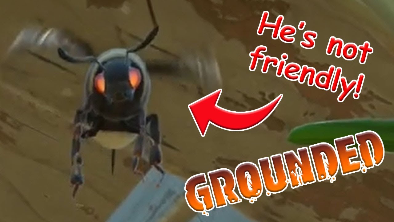 They Fly Now? | Grounded Funny Moments
