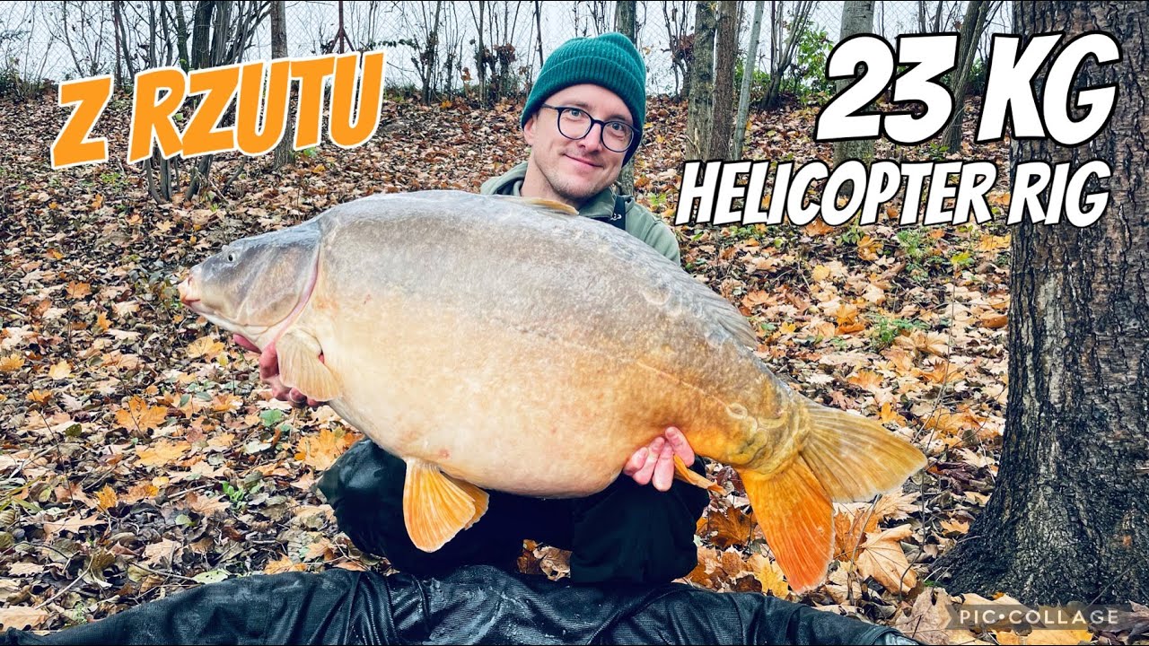 Jesienne karpie z rzutu Zestaw Helikopterowy Ciepień 23KG Cały Hol