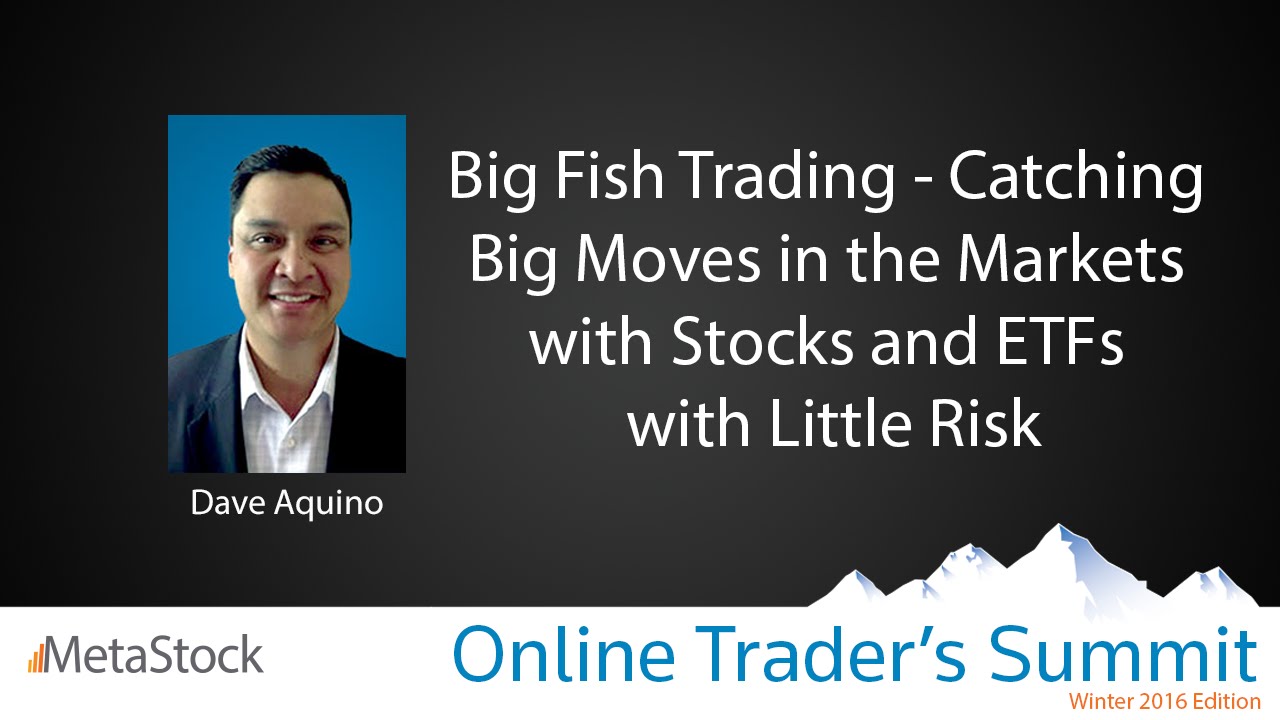 Big Fish Trading -Catching Big Moves in the Markets with Stocks and ETFs with Little Risk