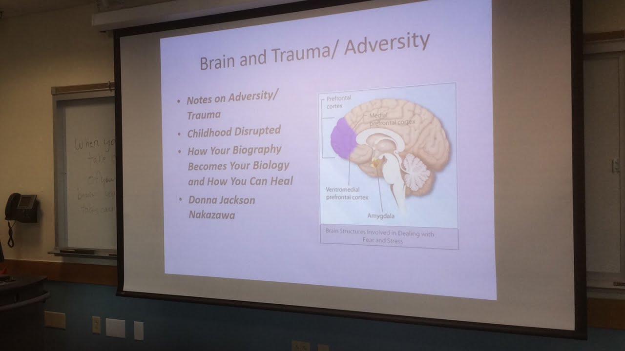 Brain Workshop Live Stream - July 19, 2017