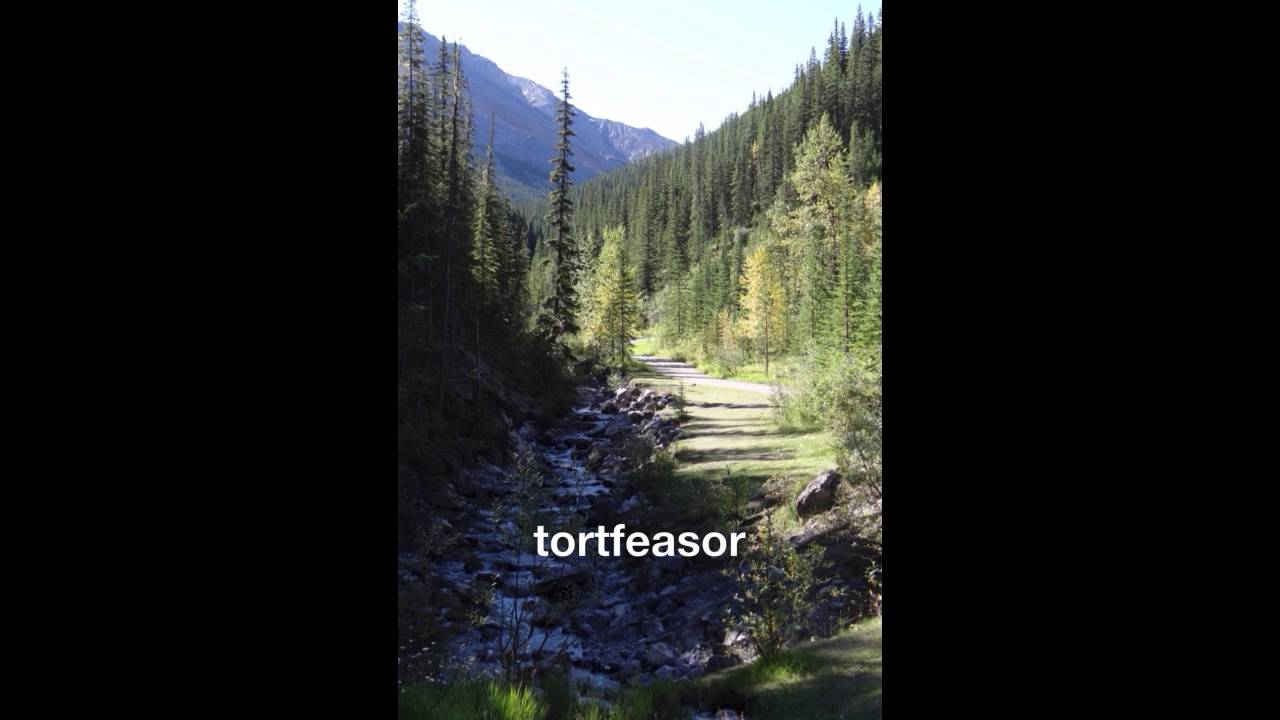 tortfeasor