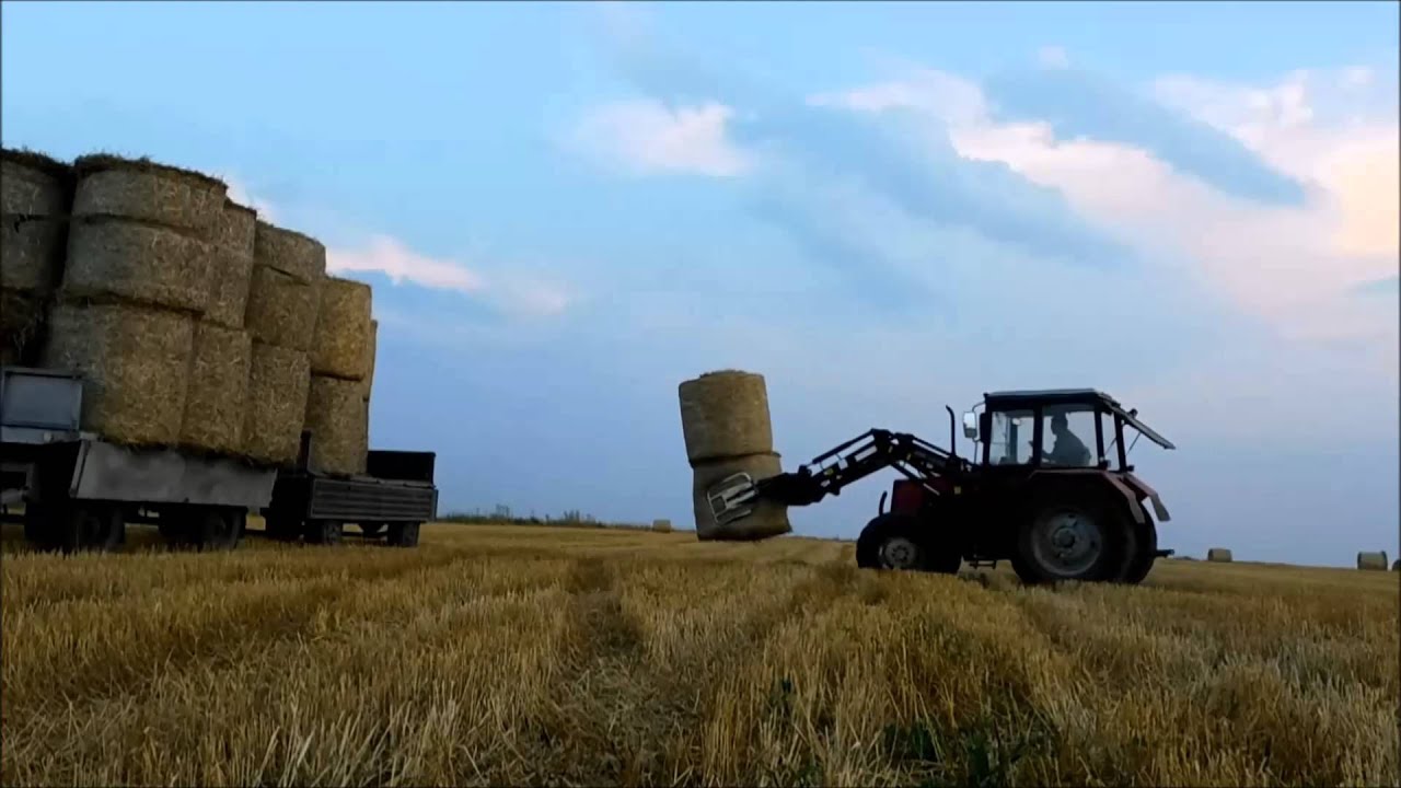 Zwożenie balotów 2015 ☆ Belarus 820 & Ursus c330 ㋡