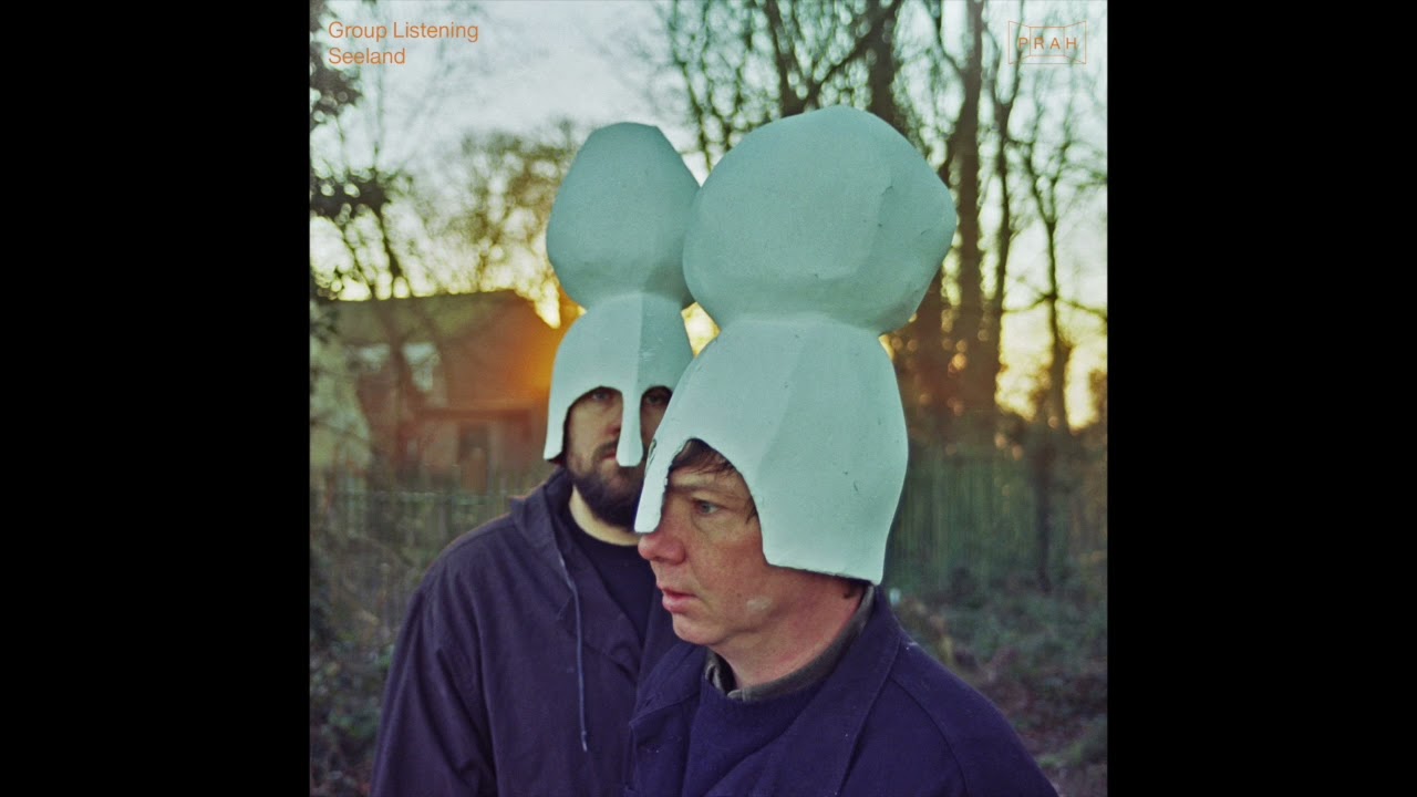 Group Listening - Seeland