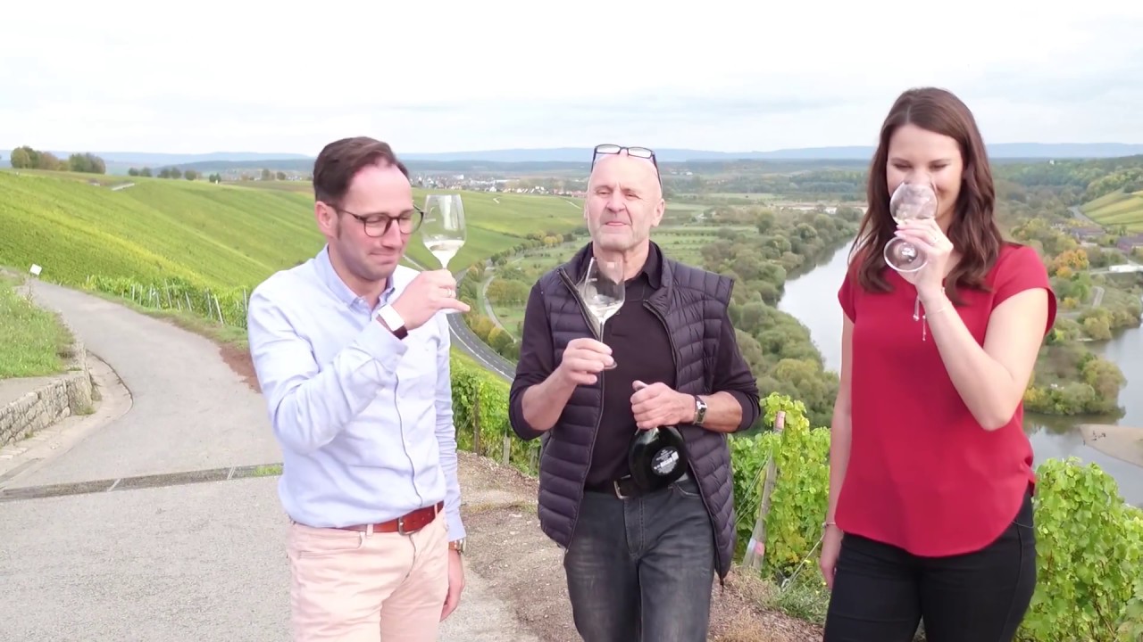 Folge 2 - Steillage an der Mainschleife