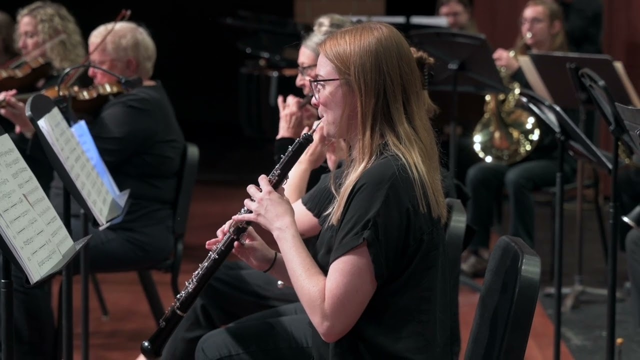 Super Mario Bros 2 Medley - DSM Gamer Symphony