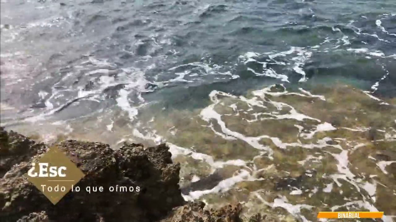 ESCUCHA CONSCIENTE - El MAR
