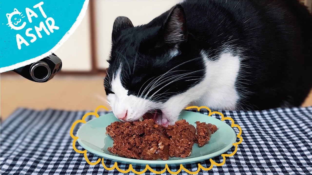 🍙 👅ASMR｜大好きな黒缶を食べてグルーミングする猫【咀嚼音】