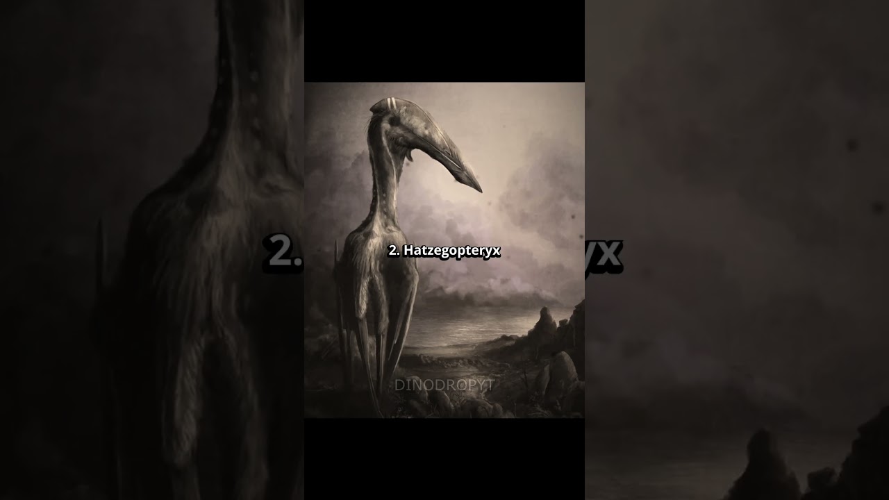 These Three Pterosaurs Ruled the Skies #quetzalcoatlus  #Arambourgiania #hatzegopteryx
