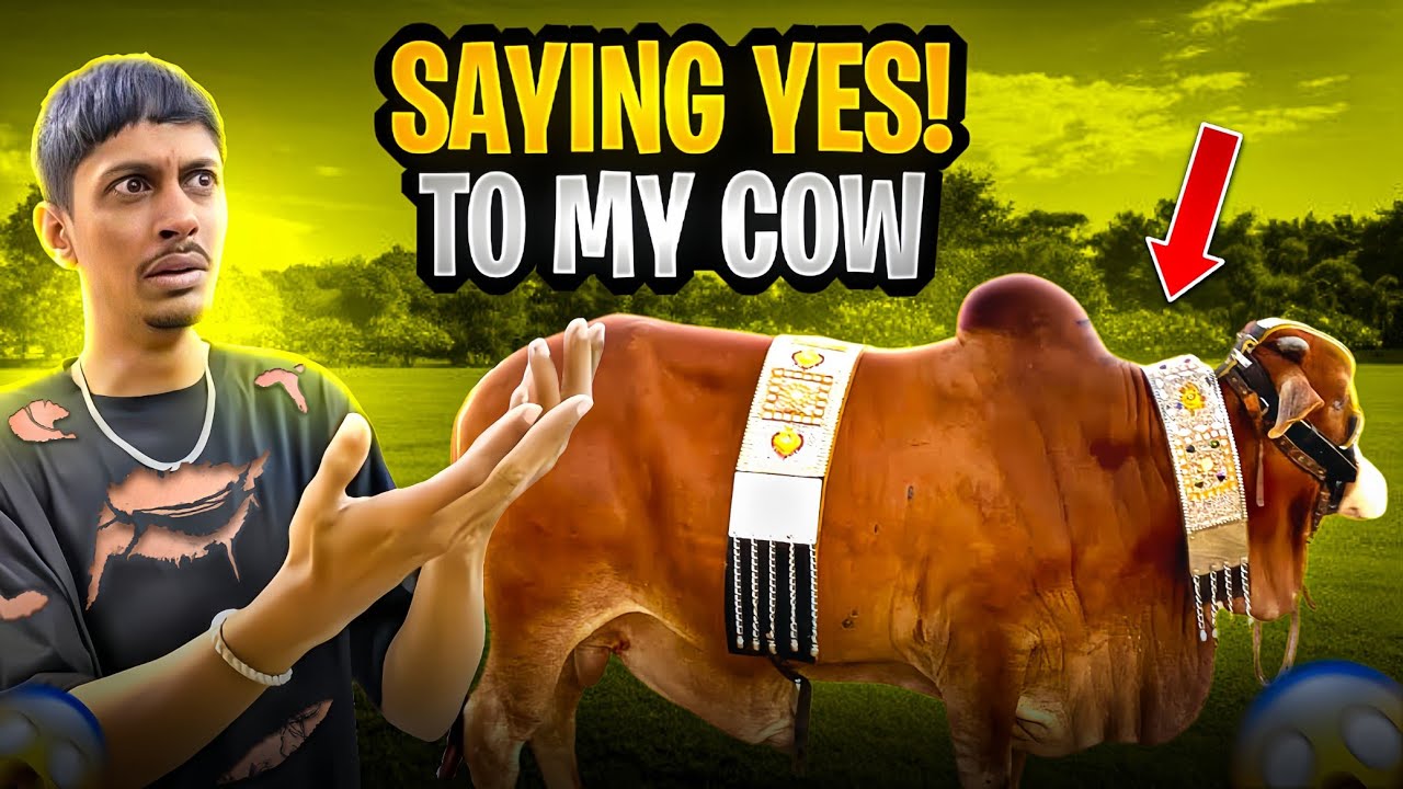 Saying YES To My COW for 12 Hours! 😱😱 DOOGSLIFE