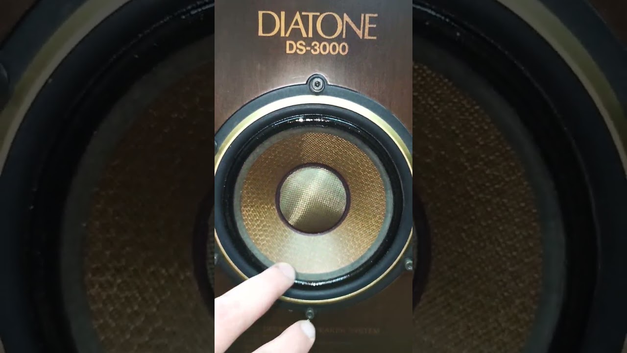 DIATONE DS-3000