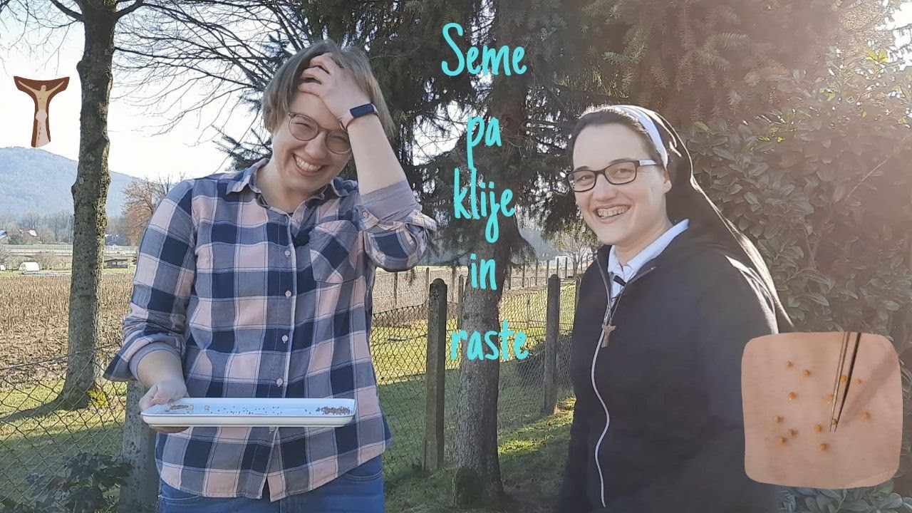 Seme pa klije in raste