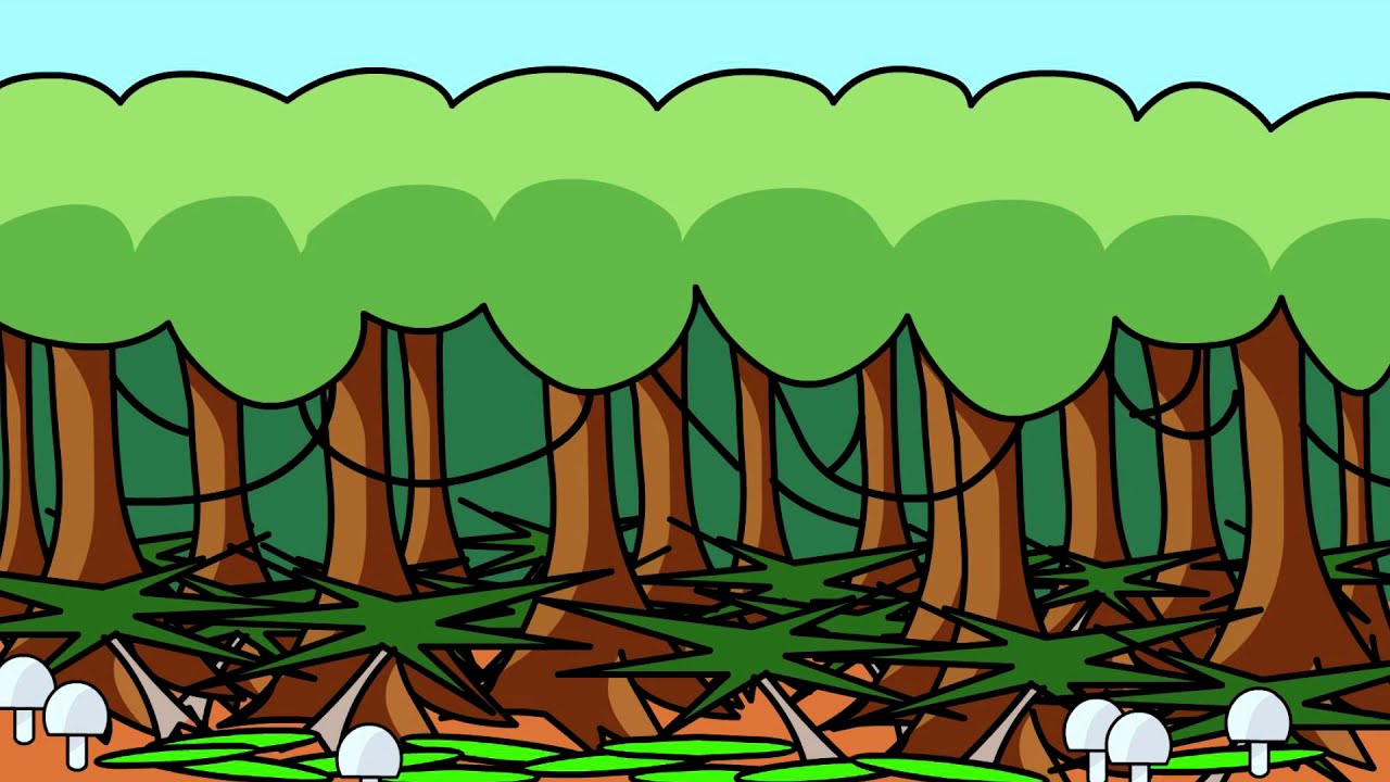 La foresta pluviale