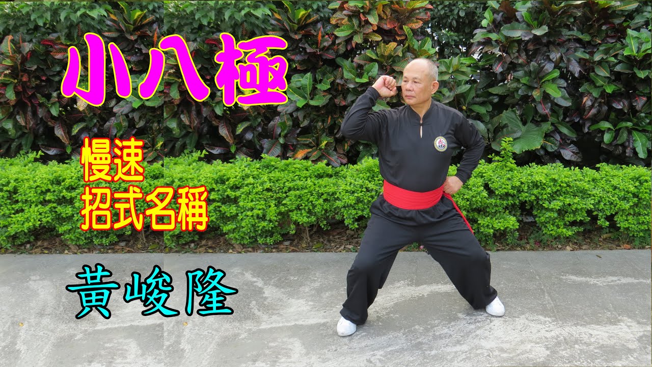 小八極演示 黃峻隆(峯雲際會)