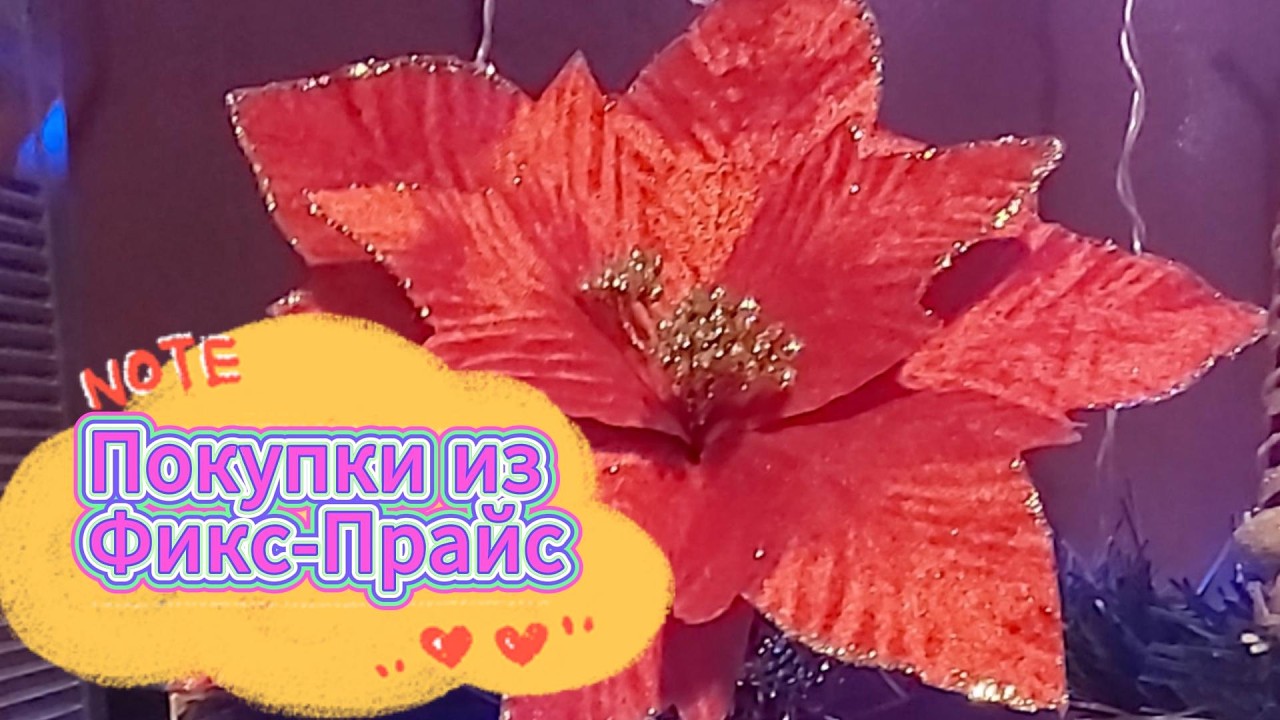 Покупки в Фикс Прайс_30.01.2026