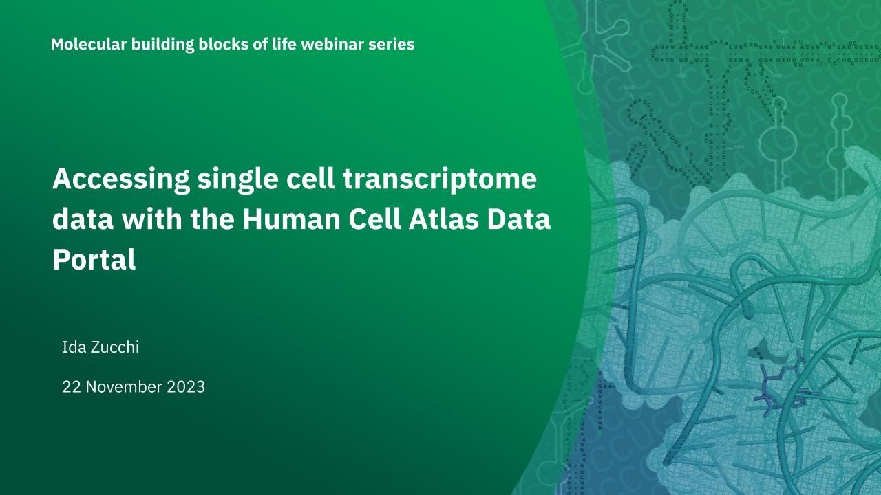 Accessing single cell transcriptome data with the Human Cell Atlas Data Portal