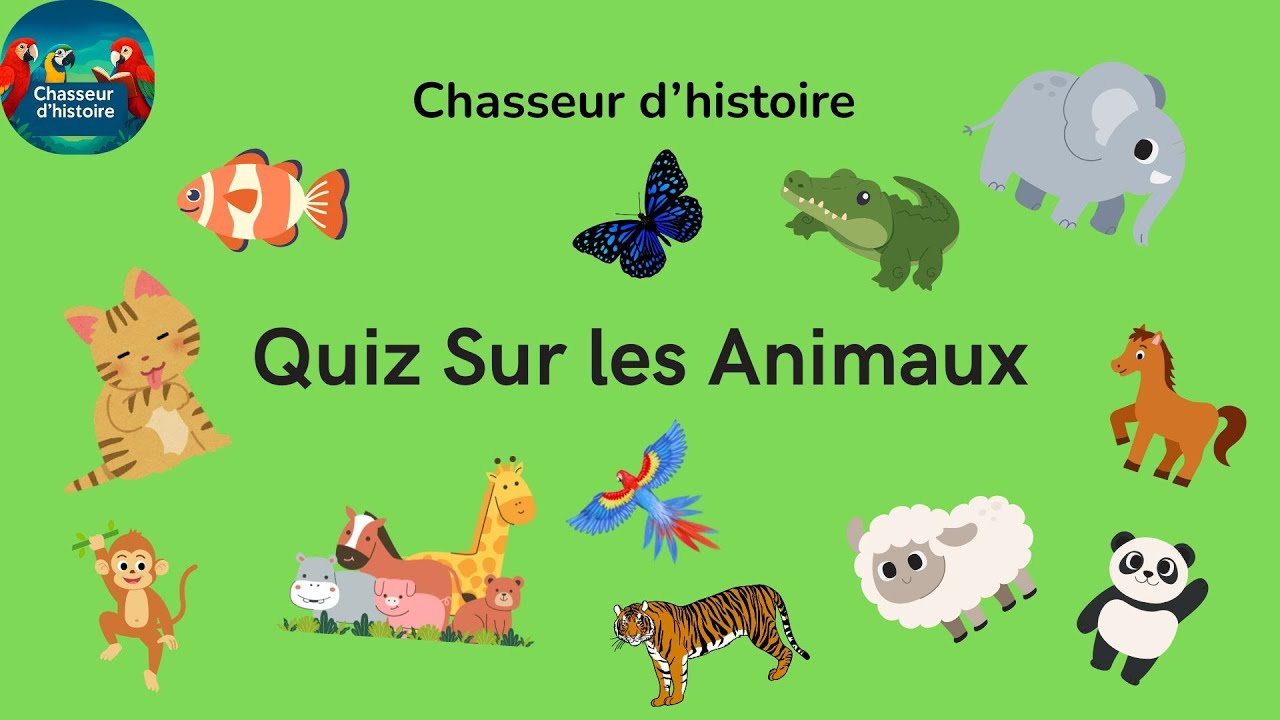 Devine 100 animaux en 8 secondes ! 🐻🦊| Niveaux Facile, Moyen, Difficile et Impossible !
