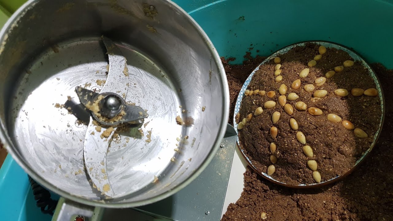 طحانة عطرية صلبة كيفاش تصاوب السفوف سلو المغرب 0616078889
