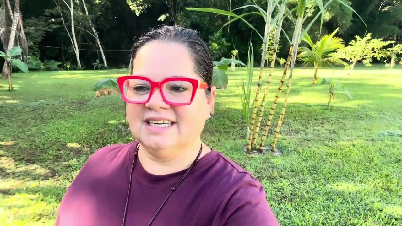 Hoy tenemos café alrededor de la propiedad, disfrutamos el río(una casa de campo en Puerto Rico)