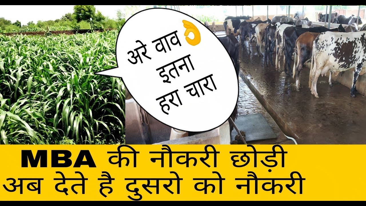 DIXIT Dairy Farm Allahabad UP