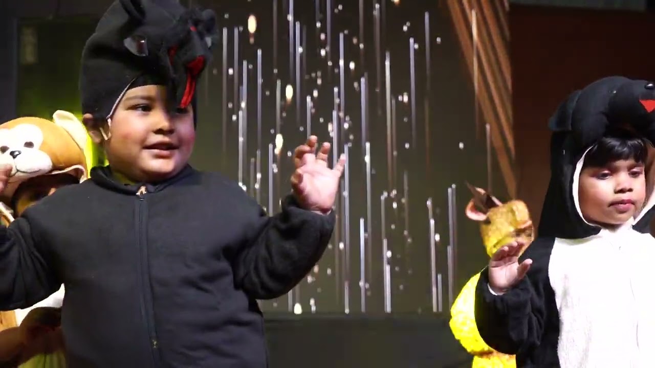 Something fun is happening in the jungle   Let's find out with our little stars