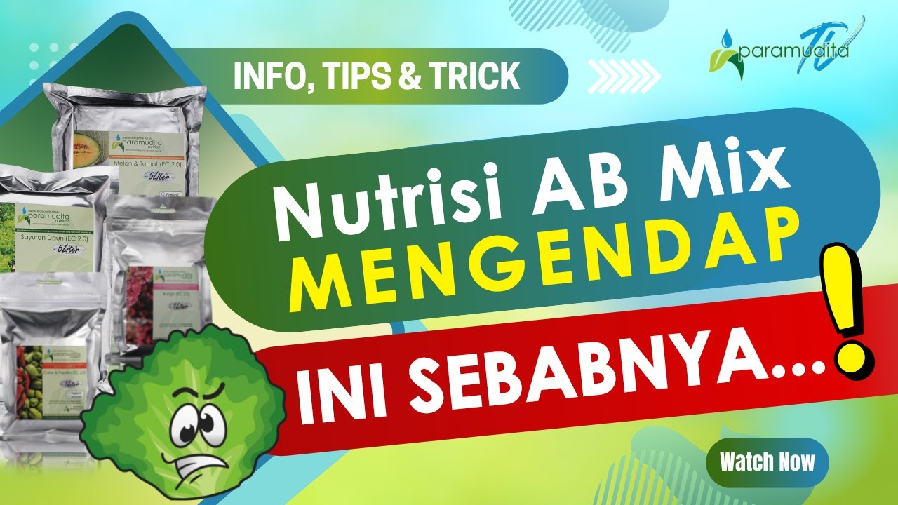 Kejenuhan Bahan Nutrisi AB Mix Hidroponik