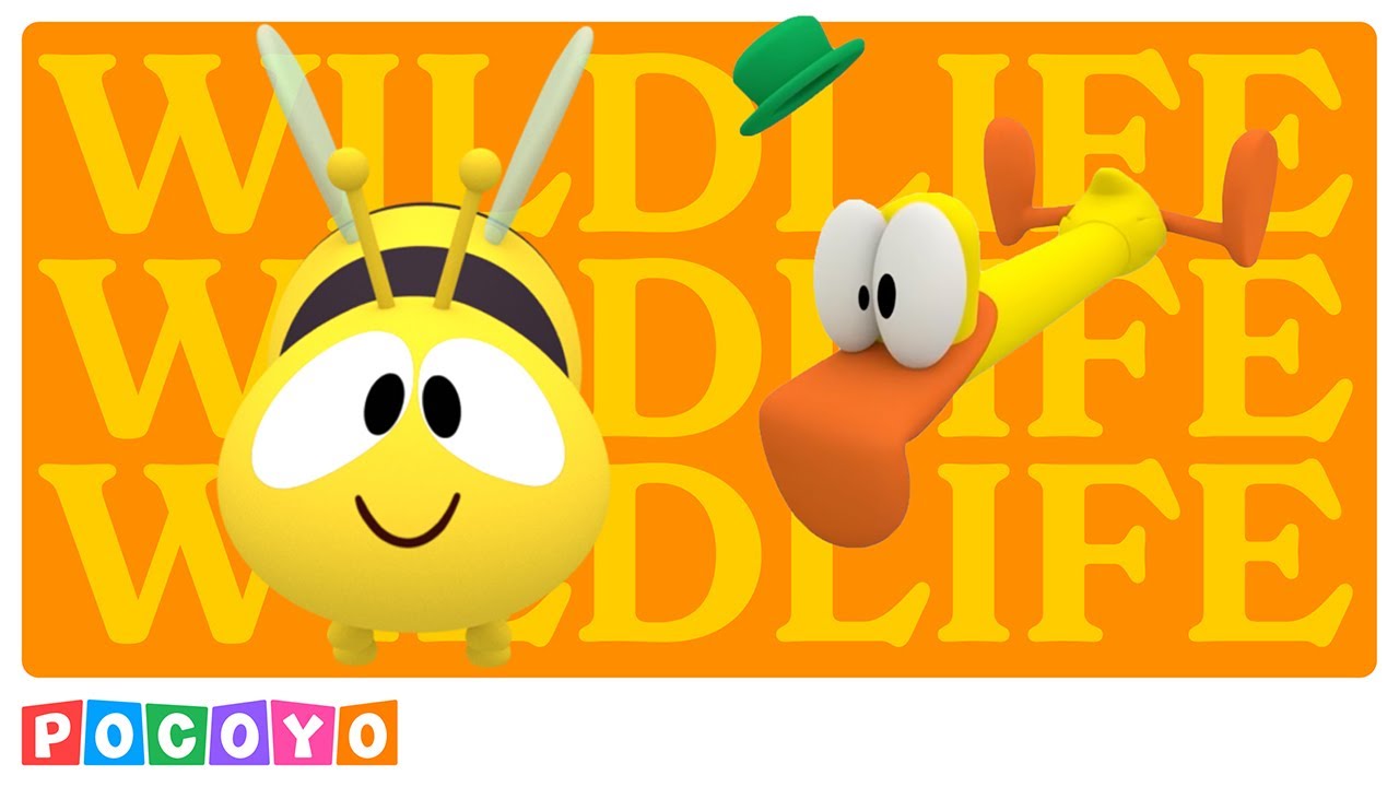 🐝 Abelhas: Preservar A Vida Selvagem | Hora do Planeta | | POCOYO PORTUGUÊS BRASIL | Desenho animado
