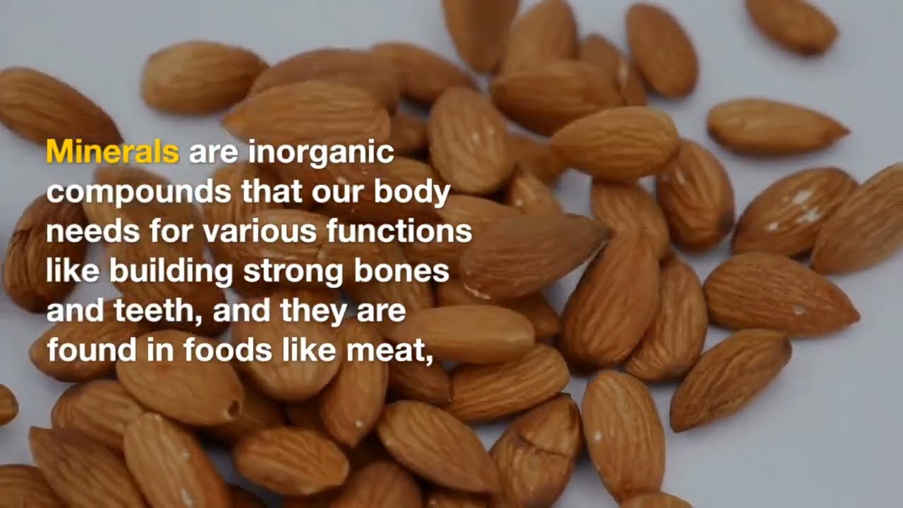 Macro vs Micro Nutrients: What's the Difference and Why They Matter for Your Health