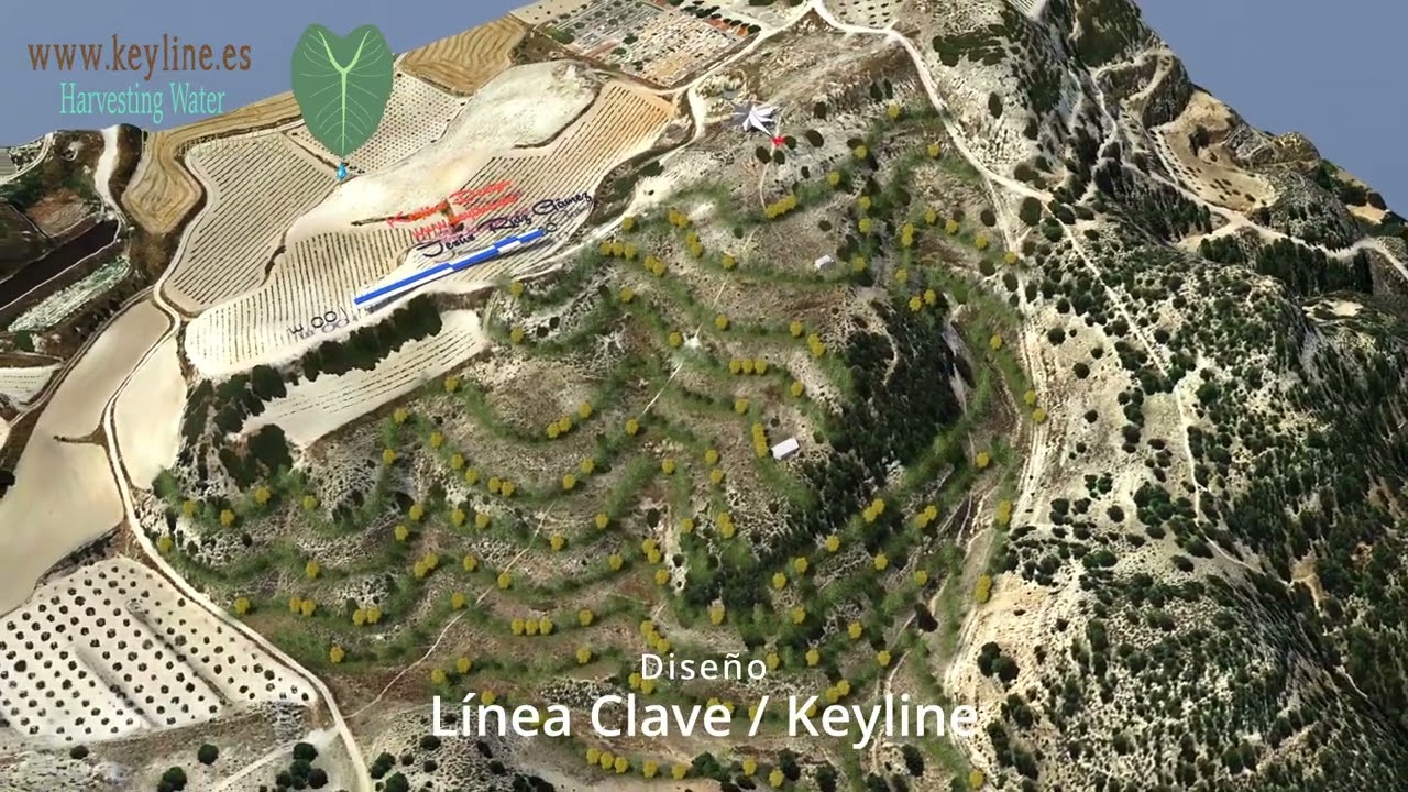Dise&ntilde;o Keyline 9Has en Prov Albacete.