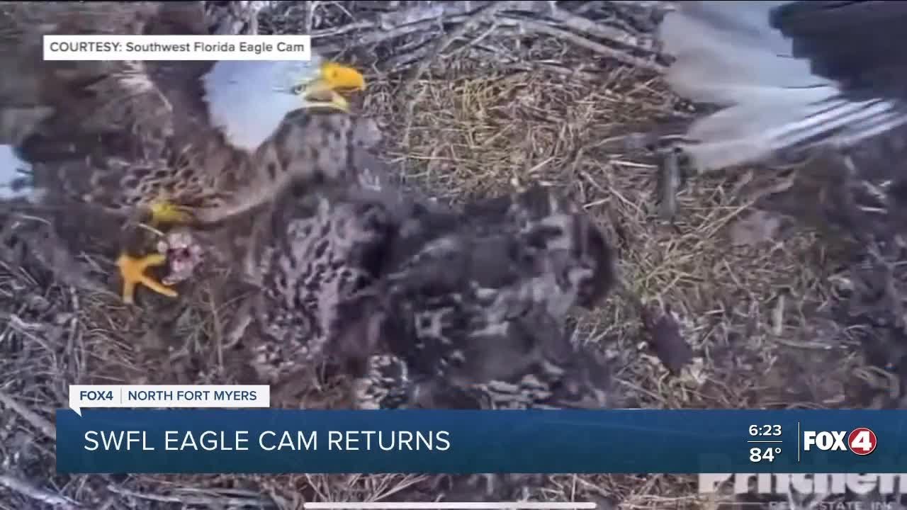 NORTH FORT MYERS | Southwest Florida Eagle Cam back online for nesting season