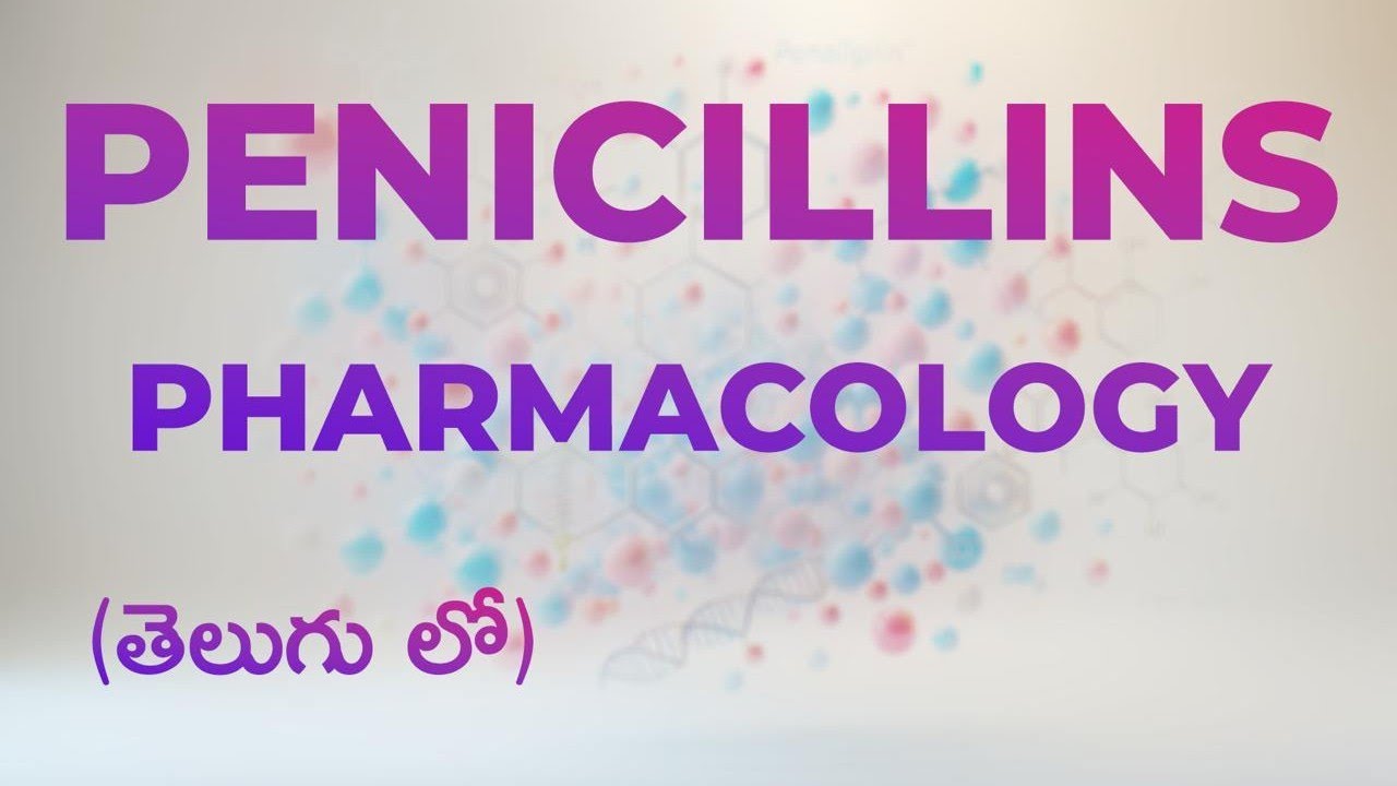 penicillins pharmacology l beta lactam antibiotics l Chemotherapy I Bpharm I pharm DI physiotherapy