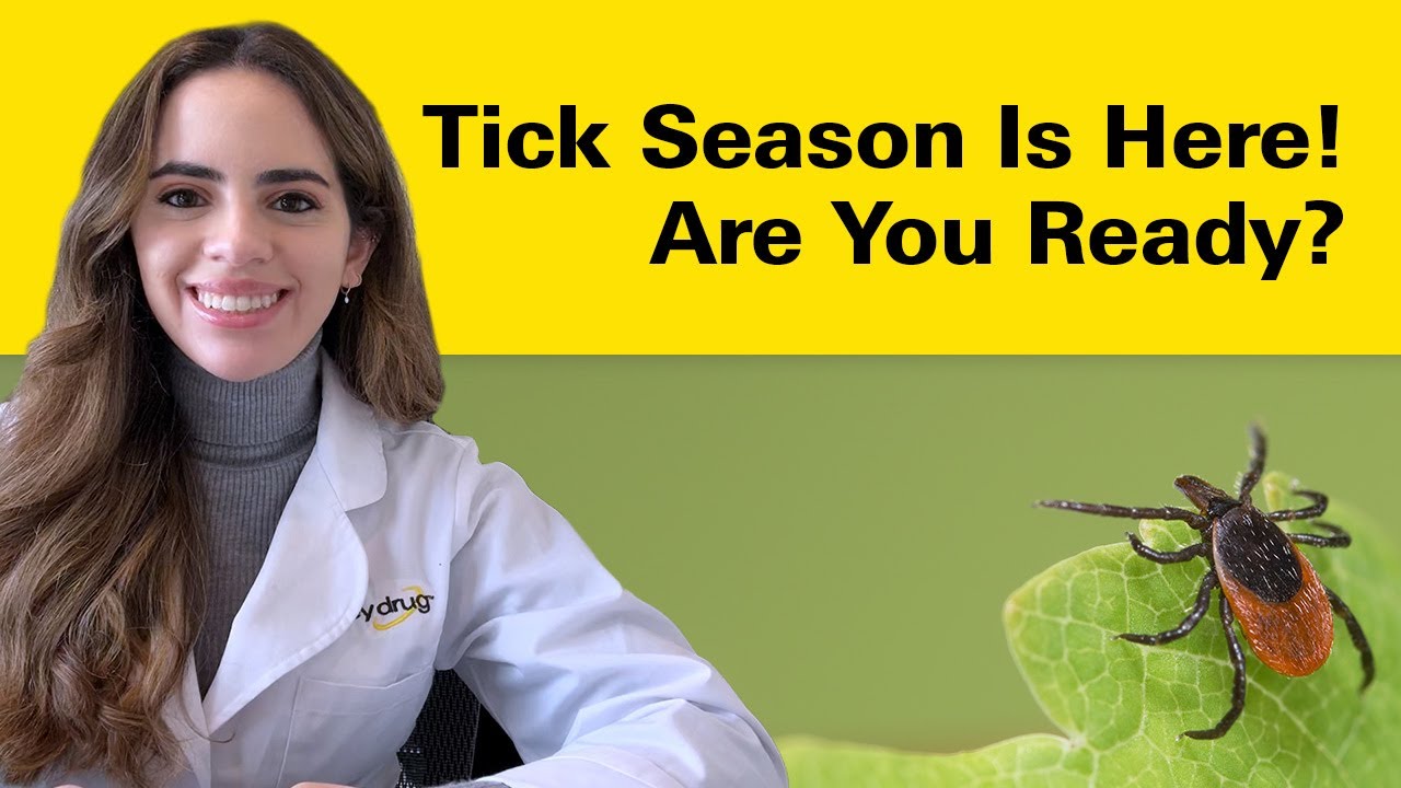 What to Do After a Tick Bite?