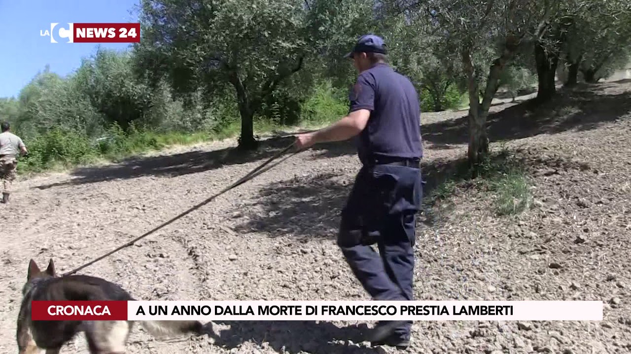 A un anno dalla morte di Francesco Prestia Lamberti