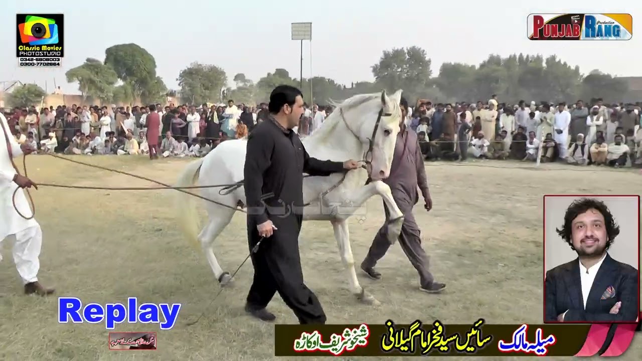 Nashilay Nain l Haideri Malang l Horse Dance13 November 2025 l Arkana Waseeran l Haji Muhammad Satar