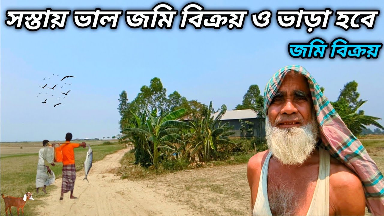 পানির দামে জমি বিক্রি ও ভাড়া হবে | সুন্দর গ্রামে সস্তায় জমি ও জমি বিক্রেতার নাম্বার | Grammo Jibon
