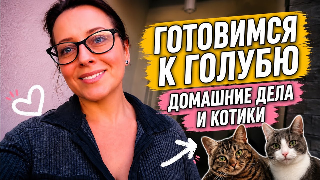 США Влог | Готовимся к появлению голубя в нашей семье