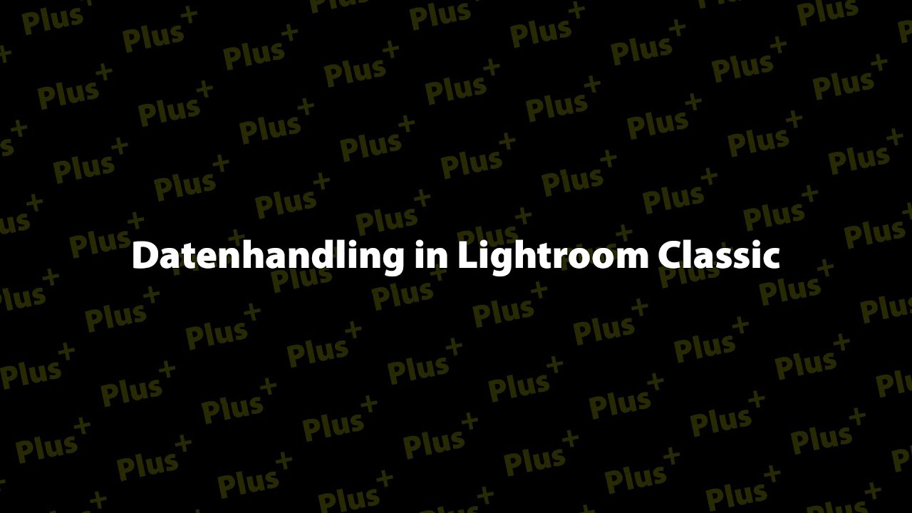 Datenhandling in Lightroom Classic