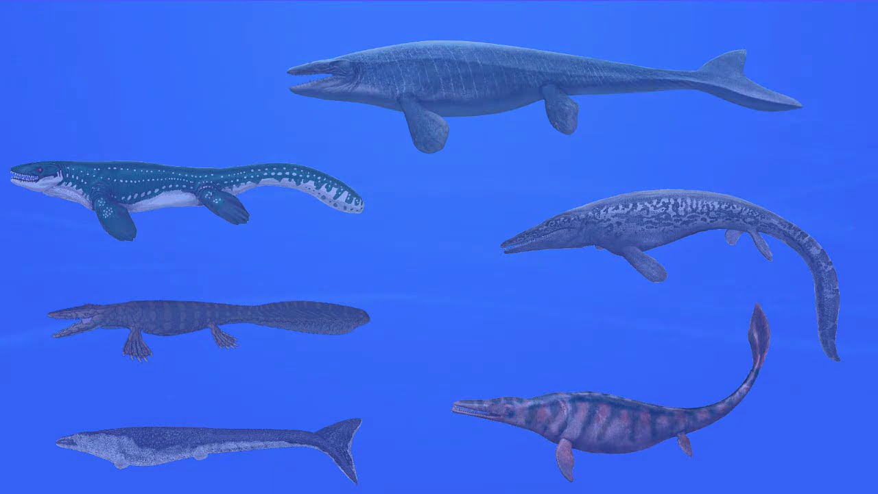 Mosasaur Family Size Comparison