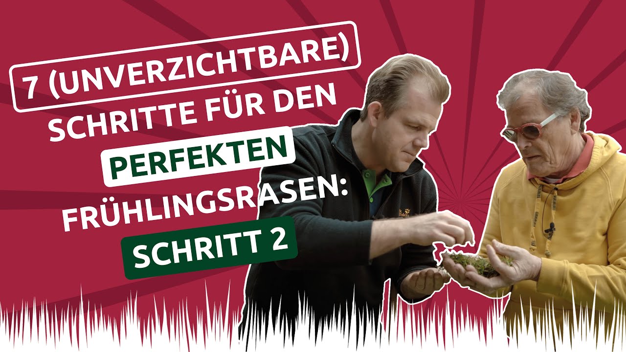 7 (unverzichtbare) Schritte f&uuml;r einen perfekten Fr&uuml;hlingsrasen: Schritt 2