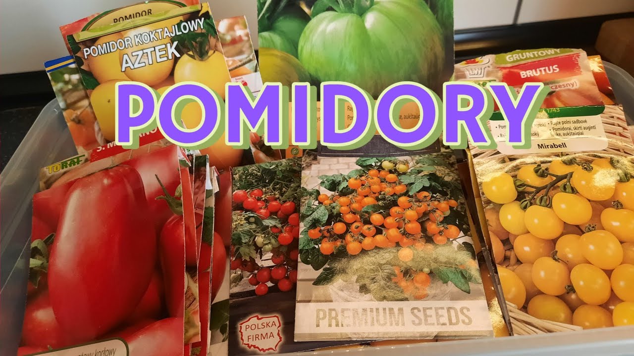 PLAN ODMIAN POMIDORÓW 🌱 JAKIE ODMIANY POLECACIE ,KTÓRE WEDŁUG WAS SĄ WARTE UWAGI 🌱 A KTÓRE NIE.
