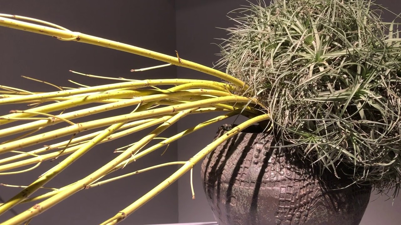 Ikebana Sogetsu exhibition 2019 Tokyo Takashimaya