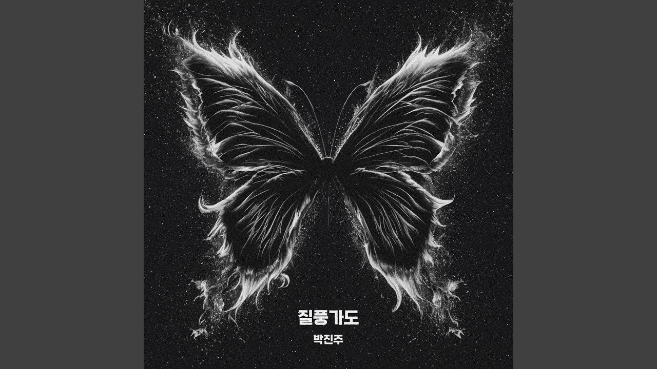 Stormy Voyage (질풍가도)