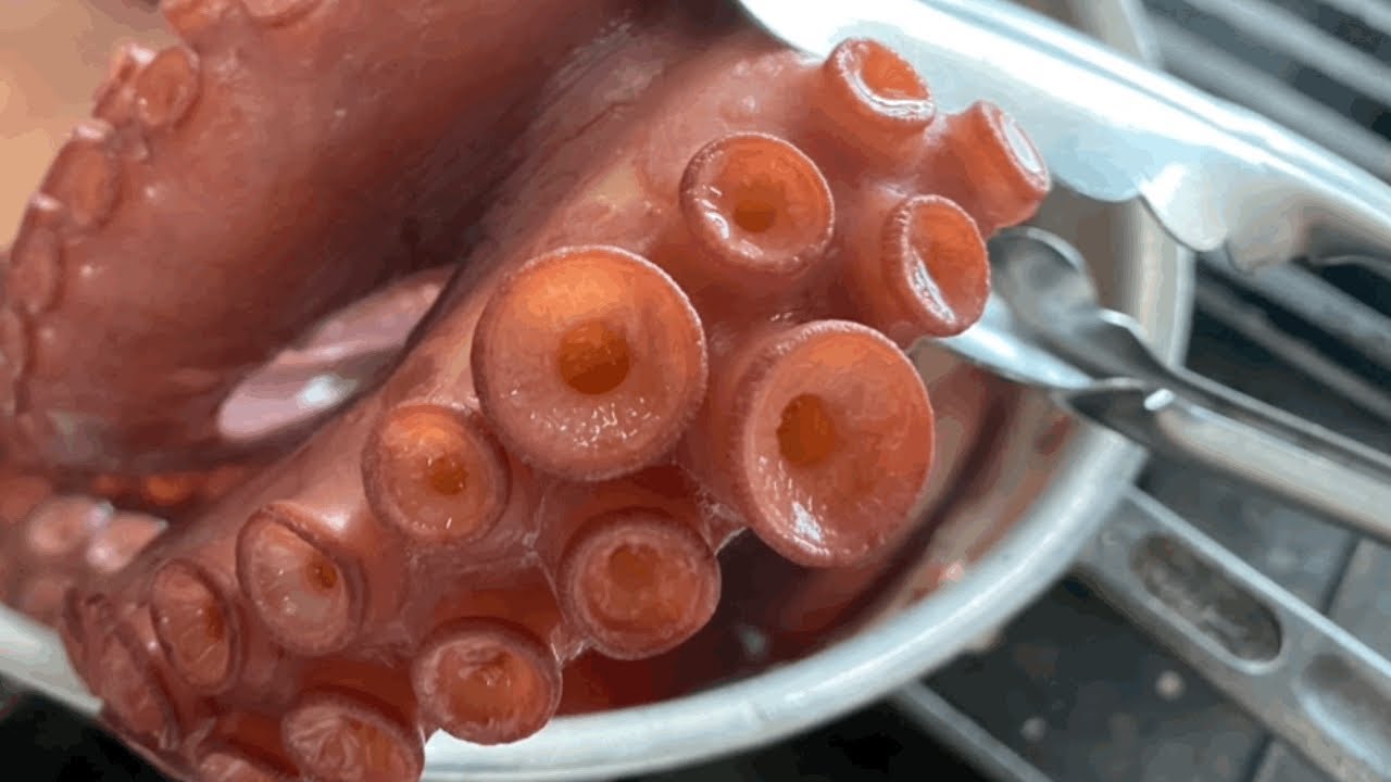 🐙 문어 삶을 때 이것을 넣어보세요! 너무 부드러워서 깜짝 놀라실 겁니다👍How to Cook a Octopus Very Smooth.
