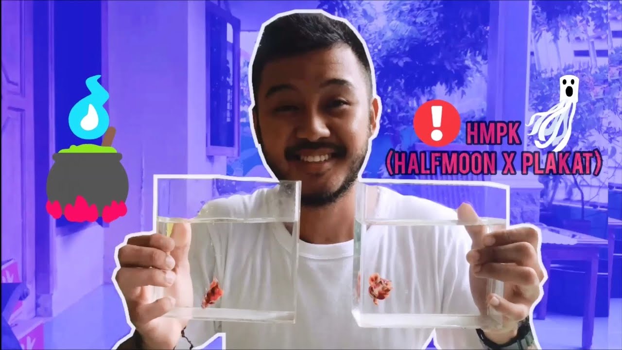 HMPK HALFMOON X PLAKAT