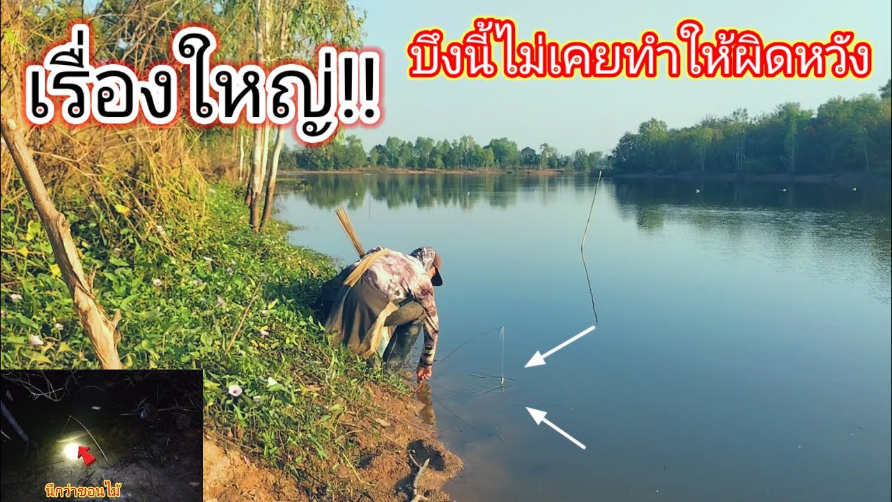นึกว่าขอนไม้!!ปักเบ็ดซ้ำหมายบึงช่อนยักษ์ชื่อนี้ไม่เคยทำให้ผิดหวังจัดใหญ่ทุกรอบไปเลย