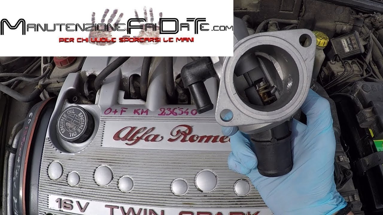 Descrizione funzionamento e sostituzione Termostato - Alfa Romeo, Fiat, Lancia