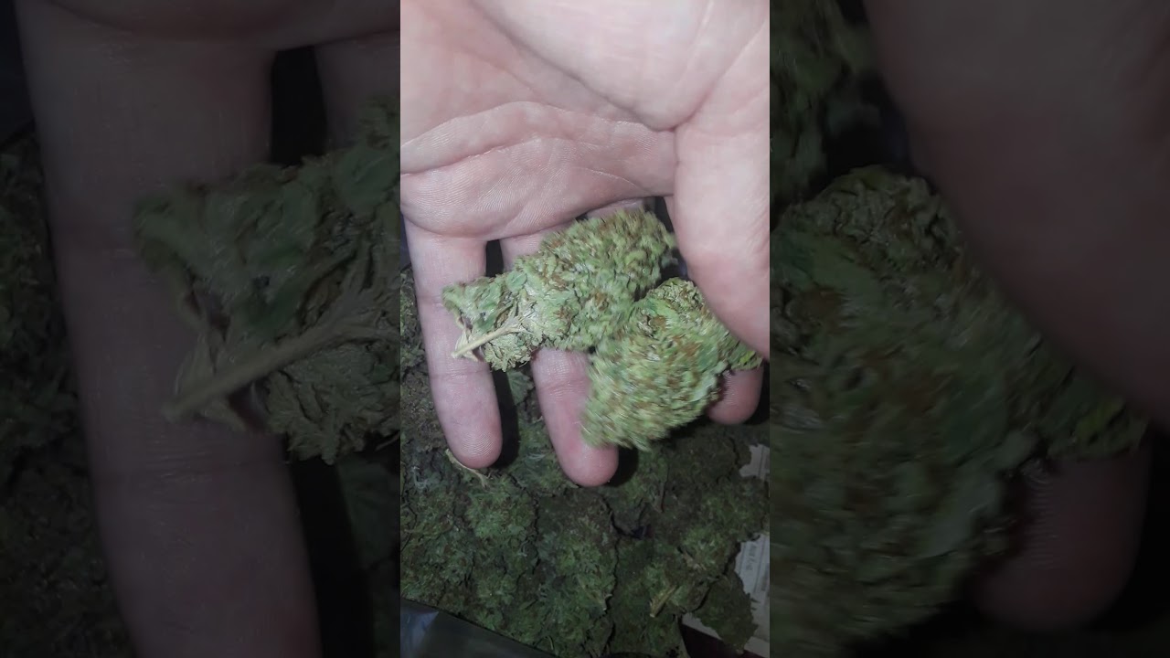 lava cake🌋🍰