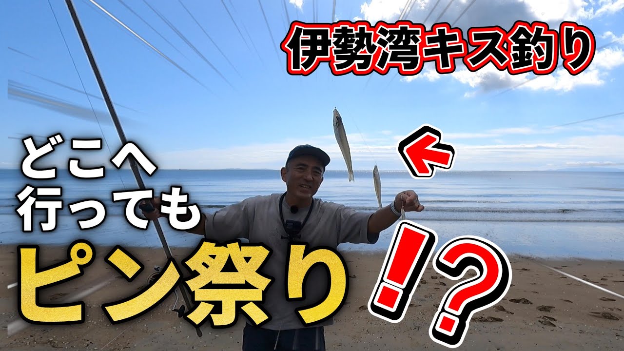 良型のキスは何処かに居ませんかぁ～？